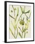 Spring Sprig II-Chariklia Zarris-Framed Art Print