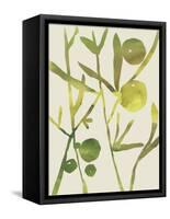 Spring Sprig III-Chariklia Zarris-Framed Stretched Canvas