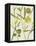 Spring Sprig III-Chariklia Zarris-Framed Stretched Canvas