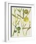 Spring Sprig III-Chariklia Zarris-Framed Art Print