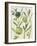 Spring Sprig IV-Chariklia Zarris-Framed Art Print