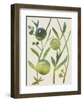 Spring Sprig IV-Chariklia Zarris-Framed Art Print