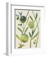 Spring Sprig IV-Chariklia Zarris-Framed Art Print