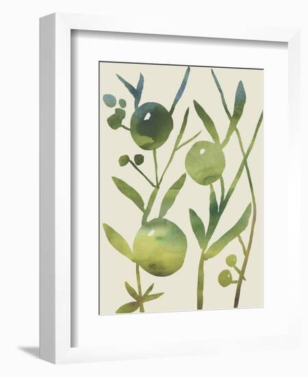 Spring Sprig IV-Chariklia Zarris-Framed Art Print