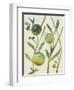 Spring Sprig IV-Chariklia Zarris-Framed Art Print