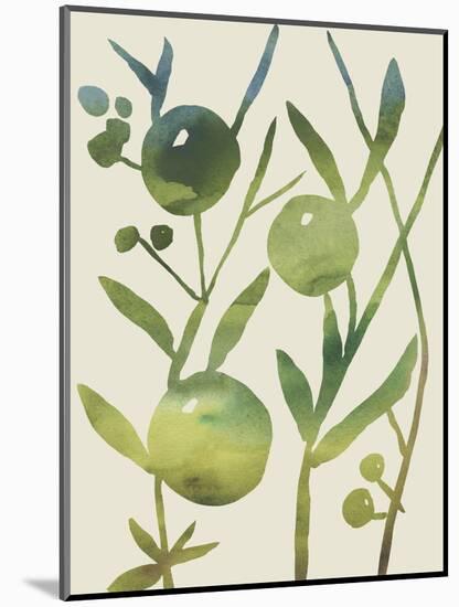 Spring Sprig IV-Chariklia Zarris-Mounted Art Print