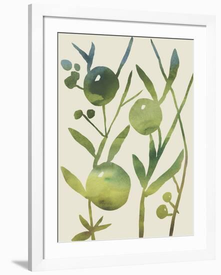 Spring Sprig IV-Chariklia Zarris-Framed Art Print