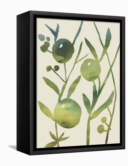 Spring Sprig IV-Chariklia Zarris-Framed Stretched Canvas