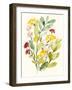 Spring Sprigs II-Jennifer Goldberger-Framed Art Print