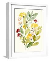 Spring Sprigs II-Jennifer Goldberger-Framed Art Print