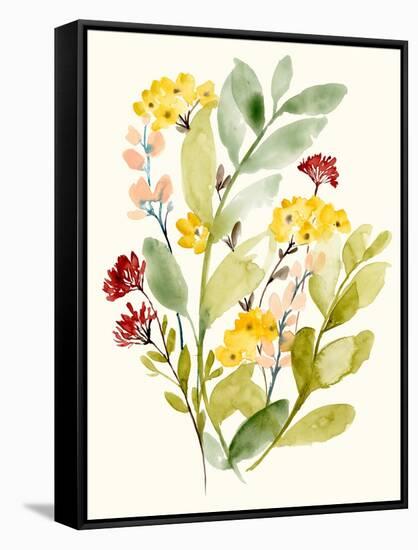 Spring Sprigs II-Jennifer Goldberger-Framed Stretched Canvas