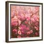 Spring Sprung-Helen White-Framed Giclee Print