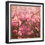 Spring Sprung-Helen White-Framed Giclee Print