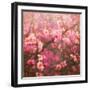 Spring Sprung-Helen White-Framed Premium Giclee Print