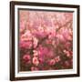 Spring Sprung-Helen White-Framed Giclee Print