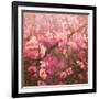 Spring Sprung-Helen White-Framed Giclee Print