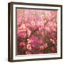 Spring Sprung-Helen White-Framed Giclee Print