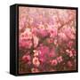 Spring Sprung-Helen White-Framed Stretched Canvas