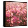 Spring Sprung-Helen White-Framed Stretched Canvas