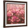 Spring Sprung-Helen White-Framed Giclee Print