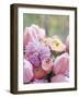 Spring Stems - Floral-Assaf Frank-Framed Giclee Print