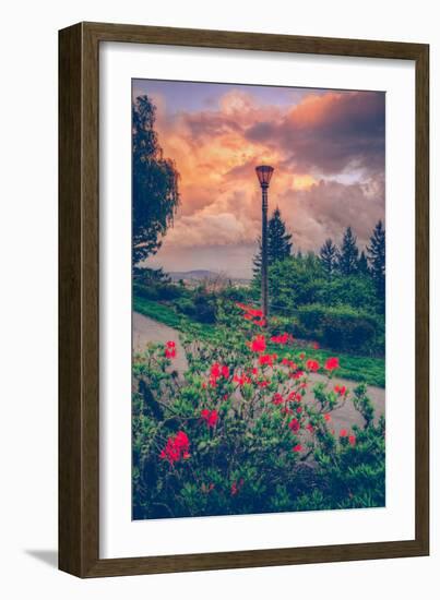 Spring Storm at Pittock Mansion, Portland Oregon-null-Framed Photographic Print