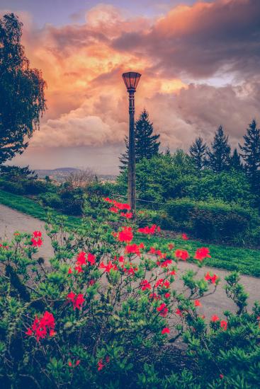 Premium Photographic Print, , large