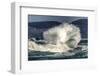 Spring Storm, breaking waves, Cape Kiwanda State Park, Oregon Coast, USA, Late Spring-Stuart Westmorland-Framed Photographic Print