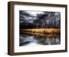 Spring Storm-Stephen Arens-Framed Photographic Print