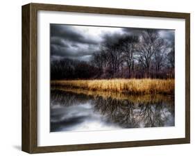 Spring Storm-Stephen Arens-Framed Photographic Print