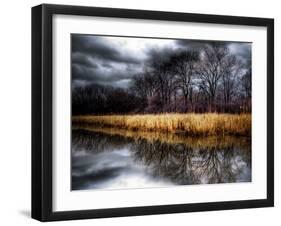 Spring Storm-Stephen Arens-Framed Photographic Print