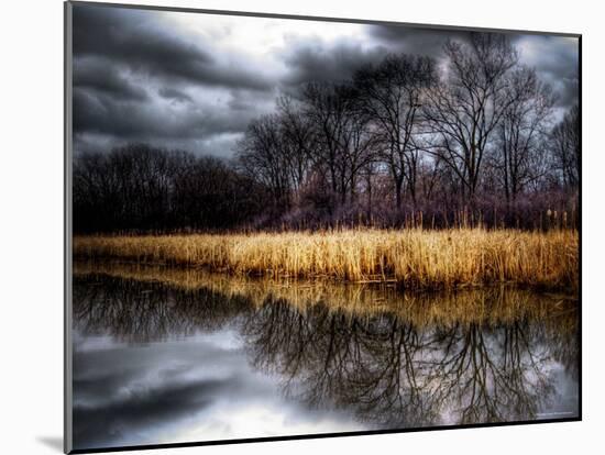 Spring Storm-Stephen Arens-Mounted Photographic Print