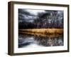 Spring Storm-Stephen Arens-Framed Premium Photographic Print