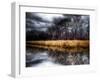 Spring Storm-Stephen Arens-Framed Premium Photographic Print