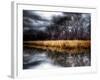 Spring Storm-Stephen Arens-Framed Photographic Print