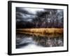 Spring Storm-Stephen Arens-Framed Photographic Print