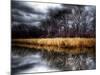 Spring Storm-Stephen Arens-Mounted Photographic Print