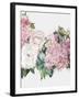 Spring Story II-Asia Jensen-Framed Art Print