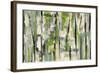 Spring Stripes-Silvia Vassileva-Framed Art Print