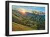 Spring Sunburst I-Mark Geistweite-Framed Photographic Print