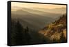 Spring sunrise from Oconaluftee Valley Overlook, U.S. Hwy. 441 or Newfound Gap Road, Great Smoky Mo-Adam Jones-Framed Stretched Canvas