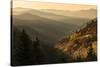 Spring sunrise from Oconaluftee Valley Overlook, U.S. Hwy. 441 or Newfound Gap Road, Great Smoky Mo-Adam Jones-Stretched Canvas