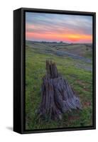 Spring Sunset from Table Mountain, California-Vincent James-Framed Stretched Canvas