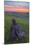 Spring Sunset from Table Mountain, California-Vincent James-Mounted Photographic Print