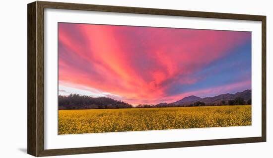 Spring Sunset Napa Valley-Elizabeth Carmel-Framed Photographic Print