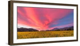 Spring Sunset Napa Valley-Elizabeth Carmel-Framed Photographic Print