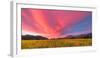 Spring Sunset Napa Valley-Elizabeth Carmel-Framed Photographic Print