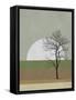 Spring Sunset Tree-Jasmine Woods-Framed Stretched Canvas