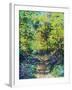 Spring Sunshine in the Woods, 2021 (oil on canvas)-Sylvia Paul-Framed Giclee Print