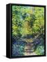 Spring Sunshine in the Woods, 2021 (oil on canvas)-Sylvia Paul-Framed Stretched Canvas